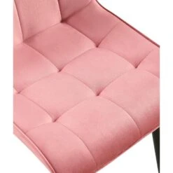 CLP Eetkamerstoel Gifford Mat Zwart Frame - Fluweel - Roze -Leen Bakker Winkel 0ea6af0262444d3594f1fd7d079acf93