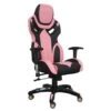 Gamestoel Race - Roze -Leen Bakker Winkel 1000026819
