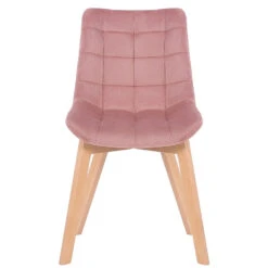 CLP Eetkamerstoel Passaic Fluweel Roze -Leen Bakker Winkel 1000053660 0101