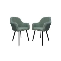 HSM Collection Eetkamerstoel Demi Lichtgroen/Zwart Teddy/Metaal Set Van 2 -Leen Bakker Winkel 1000091434 0102