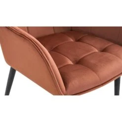 CLP Set Van 2 Eetkamerstoel Ferndale Zwart Frame - Fluweel - Bruin -Leen Bakker Winkel 12f39477c01f46ea9542acf17fe1f33b