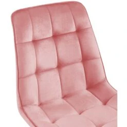 CLP Eetkamerstoel Gifford Mat Zwart Frame - Fluweel - Roze -Leen Bakker Winkel 1b11f00c7487453caa99d09fc36e8cfc