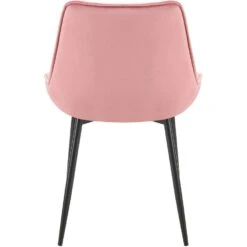 CLP Set Van 2 Eetkamerstoel Wallace Zwart Frame - Fluweel - Roze -Leen Bakker Winkel 5b172ee2835848aea1d5850e4e63a490
