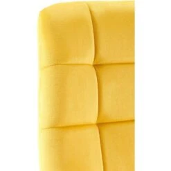 CLP Eetkamerstoel Antibes Zwart Frame - Fluweel - Geel -Leen Bakker Winkel 7ec8d9d4d4ec486ab8d85f34c7978b50