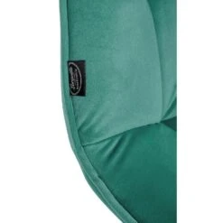 CLP Eetkamerstoel Vermont Mat Zwart Frame - Metaal - Groen -Leen Bakker Winkel b1039314563d4e4c8e3d1f6c491d5222