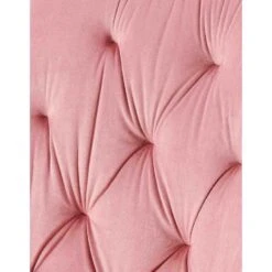 CLP Set Van 2 Eetkamerstoel Wallace Zwart Frame - Fluweel - Roze -Leen Bakker Winkel b2590ca533064ad28666e2b966a4c0b7