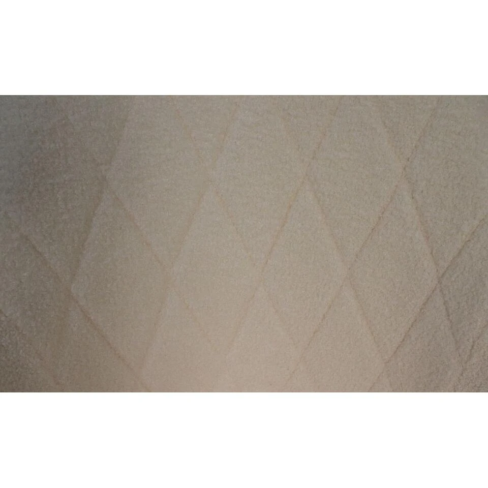 HSM Collection Eetkamerstoel Demi Creme/Zwart Teddy/Metaal Set Van 2 6 HSM Collection Eetkamerstoel Demi Creme/Zwart Teddy/Metaal Set Van 2 - Afbeelding 4