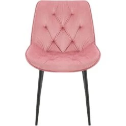 CLP Set Van 2 Eetkamerstoel Wallace Zwart Frame - Fluweel - Roze -Leen Bakker Winkel e1c51ec895f1449993e1e9a32a426531