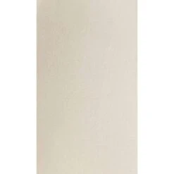 CLP Eetkamerstoel Lewes Zwart Frame - Fluweel - Creme -Leen Bakker Winkel ed9f815a9962488a90b5bc20e4562f37 1